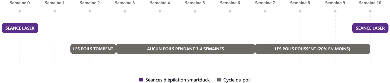 Frise chronologique du cycle du poil sur 10 semaines. Une séance de laser smartduck a lieu en semaine 0 et la suivante en semaine 10. Semaine 2 : les poils tombent. Semaines 3 à 6 : aucun poil pendant 3 à 4 semaines. Semaines 7 à 10 : les poils repoussent, avec 20 % de poils en moins. Chaque séance élimine environ 20 % des poils actifs ; 6 à 9 séances sont nécessaires selon les cas.